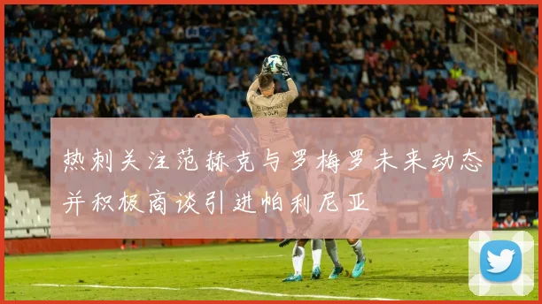 热刺关注范赫克与罗梅罗未来动态并积极商谈引进帕利尼亚